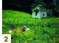 Peaceful farmlands rich in dairy produce